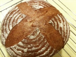 IMG_2392 IMG_2392