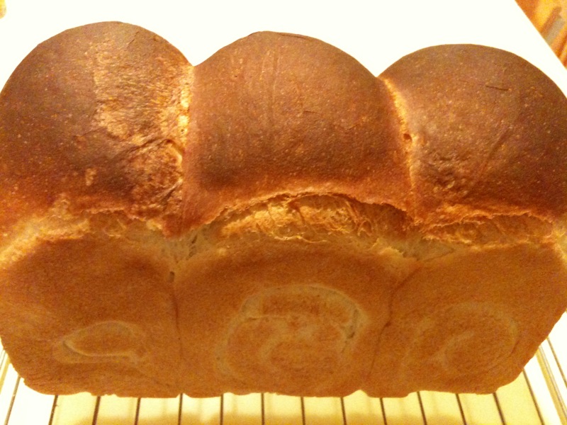 いろいろ作ったパンたち。2010、夏、その１。